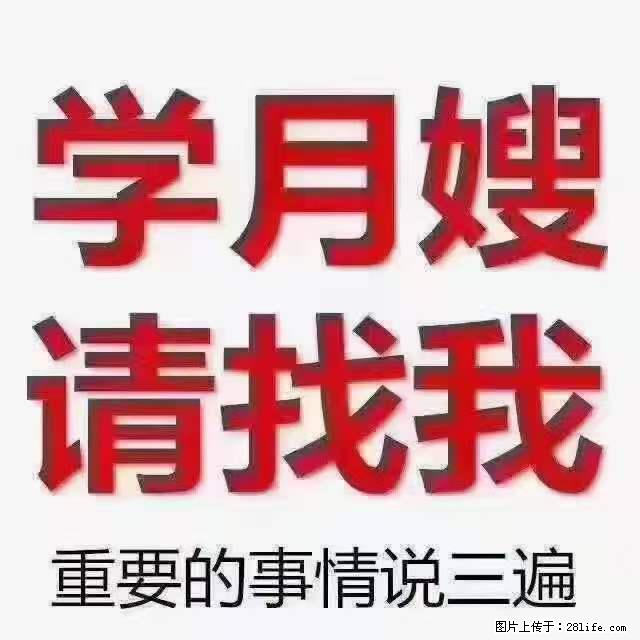 为什么要学习月嫂，育婴师？ - 其他广告 - 广告专区 - 陇南分类信息 - 陇南28生活网 ln.28life.com