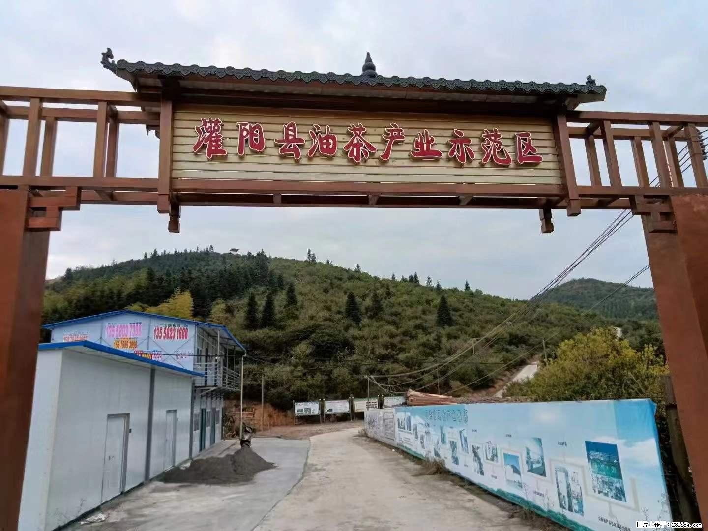 【灌阳县油茶产业示范区】一个有着充实的精神生活的人，对待身外之物自会有一种淡泊的态度 - 美食天地 - 陇南生活社区 - 陇南28生活网 ln.28life.com