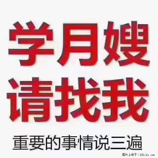 为什么要学习月嫂，育婴师？ - 陇南28生活网 ln.28life.com