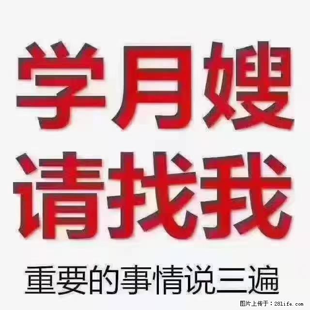 【招聘】月嫂,上海徐汇区 - 职场交流 - 陇南生活社区 - 陇南28生活网 ln.28life.com