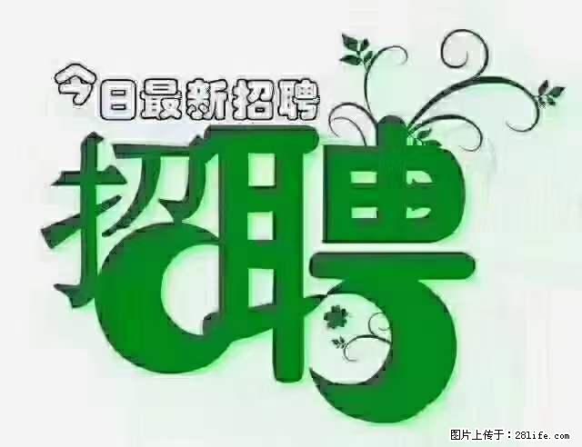 上海青浦区招仓管 - 其他招聘信息 - 招聘求职 - 陇南分类信息 - 陇南28生活网 ln.28life.com