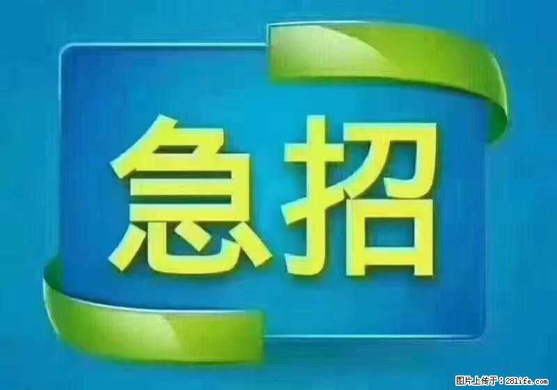 急单，上海长宁区隔离酒店招保安，急需6名，工作轻松不站岗，管吃管住工资7000/月 - 建筑/房产/物业 - 招聘求职 - 陇南分类信息 - 陇南28生活网 ln.28life.com