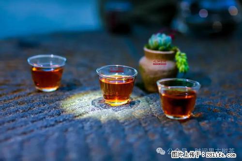 时间果百年古树2025年春红茶 - 购物交流 - 陇南生活社区 - 陇南28生活网 ln.28life.com