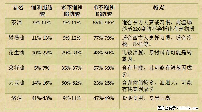 揭秘茶油的5大核心营养成分!被称为人体健康的“守护盾”! - 陇南生活资讯 - 陇南28生活网 ln.28life.com