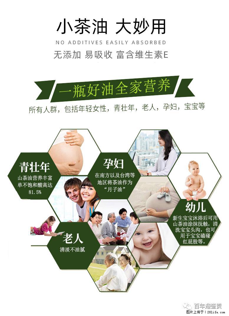 世界没有真相,只有认知,最好的食用油是中国的山茶油! - 陇南生活资讯 - 陇南28生活网 ln.28life.com