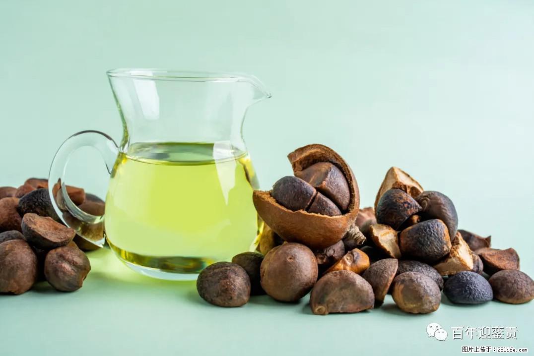 世界没有真相,只有认知,最好的食用油是中国的山茶油! - 陇南生活资讯 - 陇南28生活网 ln.28life.com