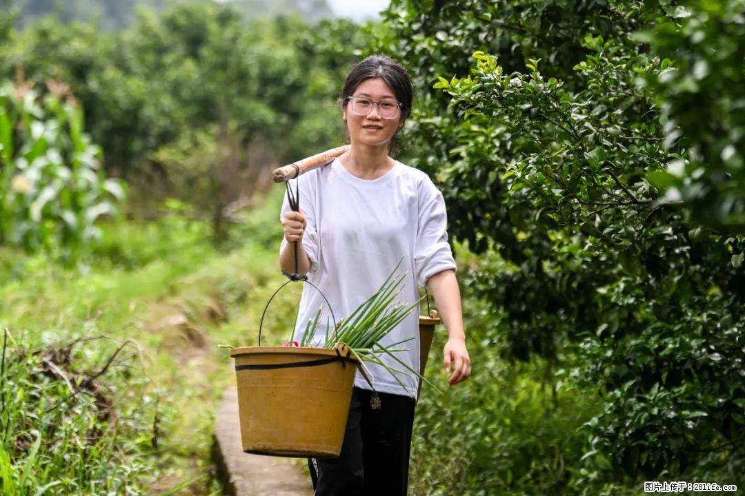 全网追的“扁担女孩”，找了一份暑假工，时薪12元 - 陇南生活资讯 - 陇南28生活网 ln.28life.com