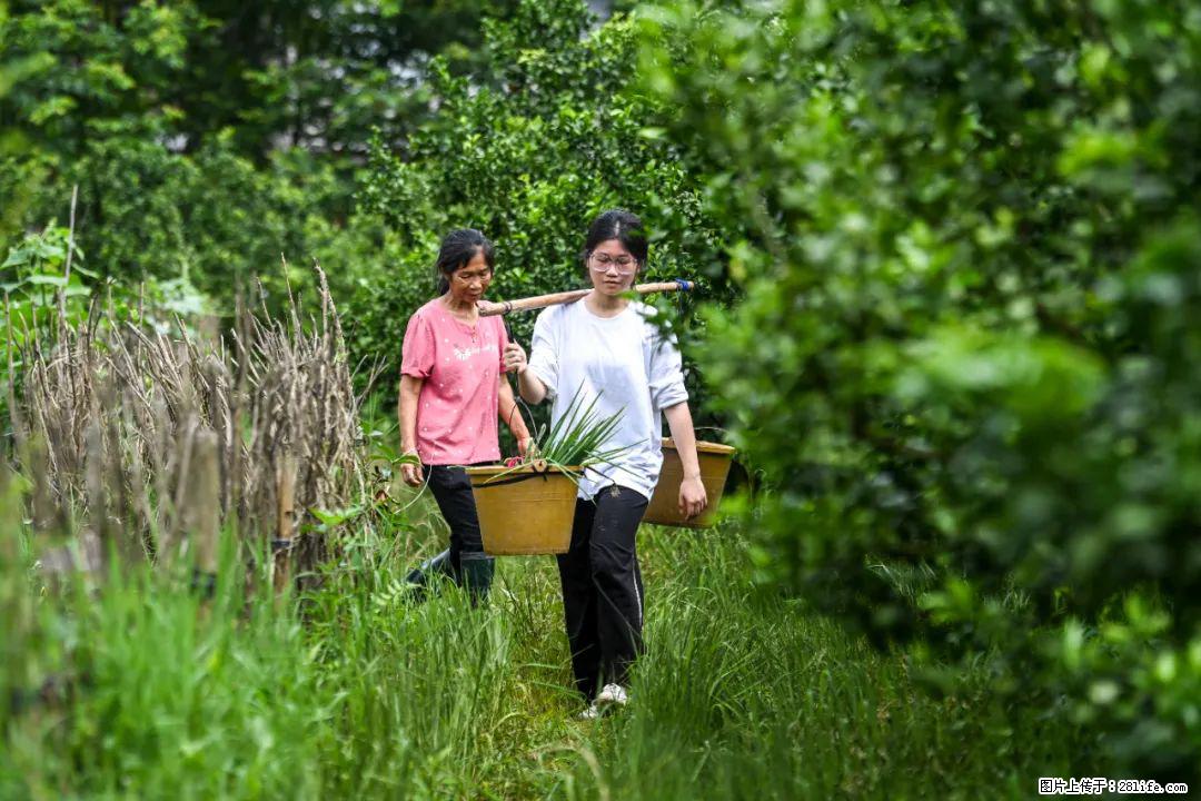 全网追的“扁担女孩”，找了一份暑假工，时薪12元 - 陇南生活资讯 - 陇南28生活网 ln.28life.com