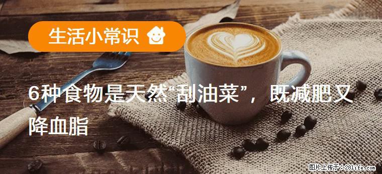 【生活小常识】6种食物是天然“刮油菜”，既减肥又降血脂 - 陇南生活资讯 - 陇南28生活网 ln.28life.com