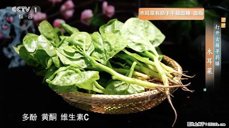 比牛奶补钙还厉害！凉血解毒、稳血糖...这菜冬天必吃，很多人却当草 - 陇南生活资讯 - 陇南28生活网 ln.28life.com