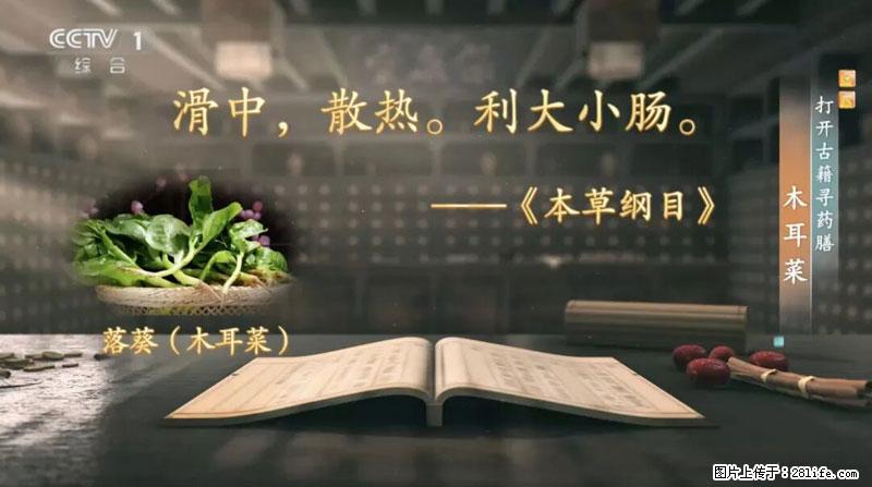 比牛奶补钙还厉害！凉血解毒、稳血糖...这菜冬天必吃，很多人却当草 - 陇南生活资讯 - 陇南28生活网 ln.28life.com