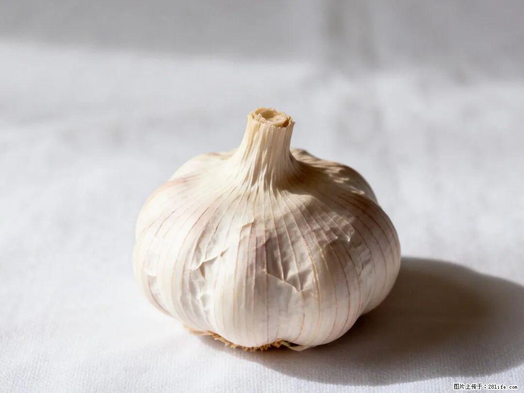 关于大蒜，除了“天然抗生素”，这4个谣言更该警惕! - 陇南生活资讯 - 陇南28生活网 ln.28life.com