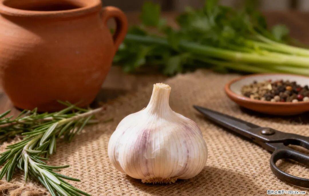 关于大蒜，除了“天然抗生素”，这4个谣言更该警惕! - 陇南生活资讯 - 陇南28生活网 ln.28life.com