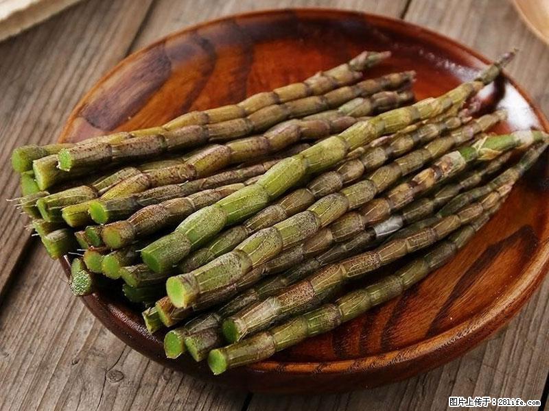 铁皮石斛的作用与功能主治 - 陇南生活资讯 - 陇南28生活网 ln.28life.com