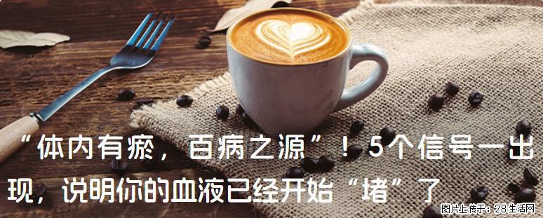 “体内有瘀，百病之源”！5个信号一出现，说明你的血液已经开始“堵”了 - 陇南生活资讯 - 陇南28生活网 ln.28life.com